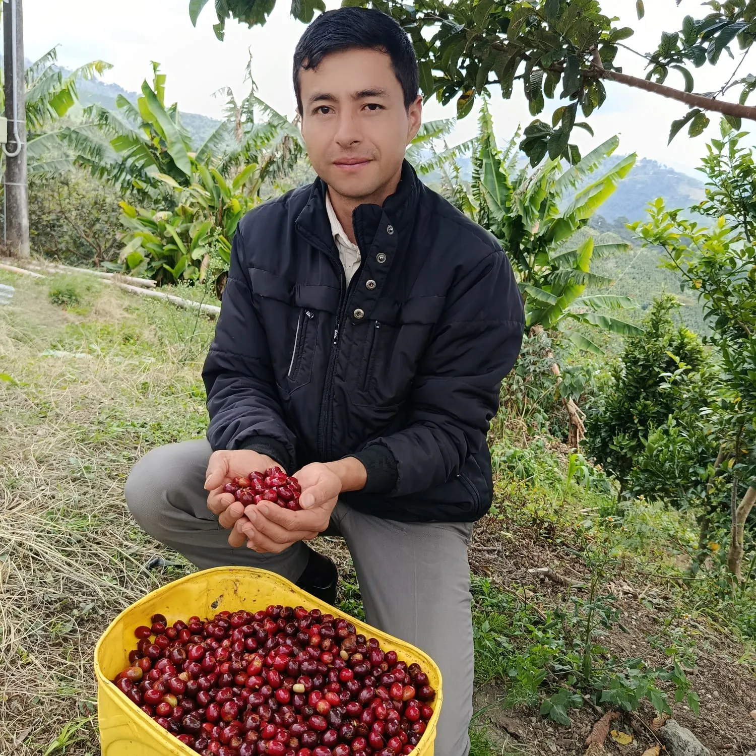 Lubier Yamid Beltrán Fernández, Belord