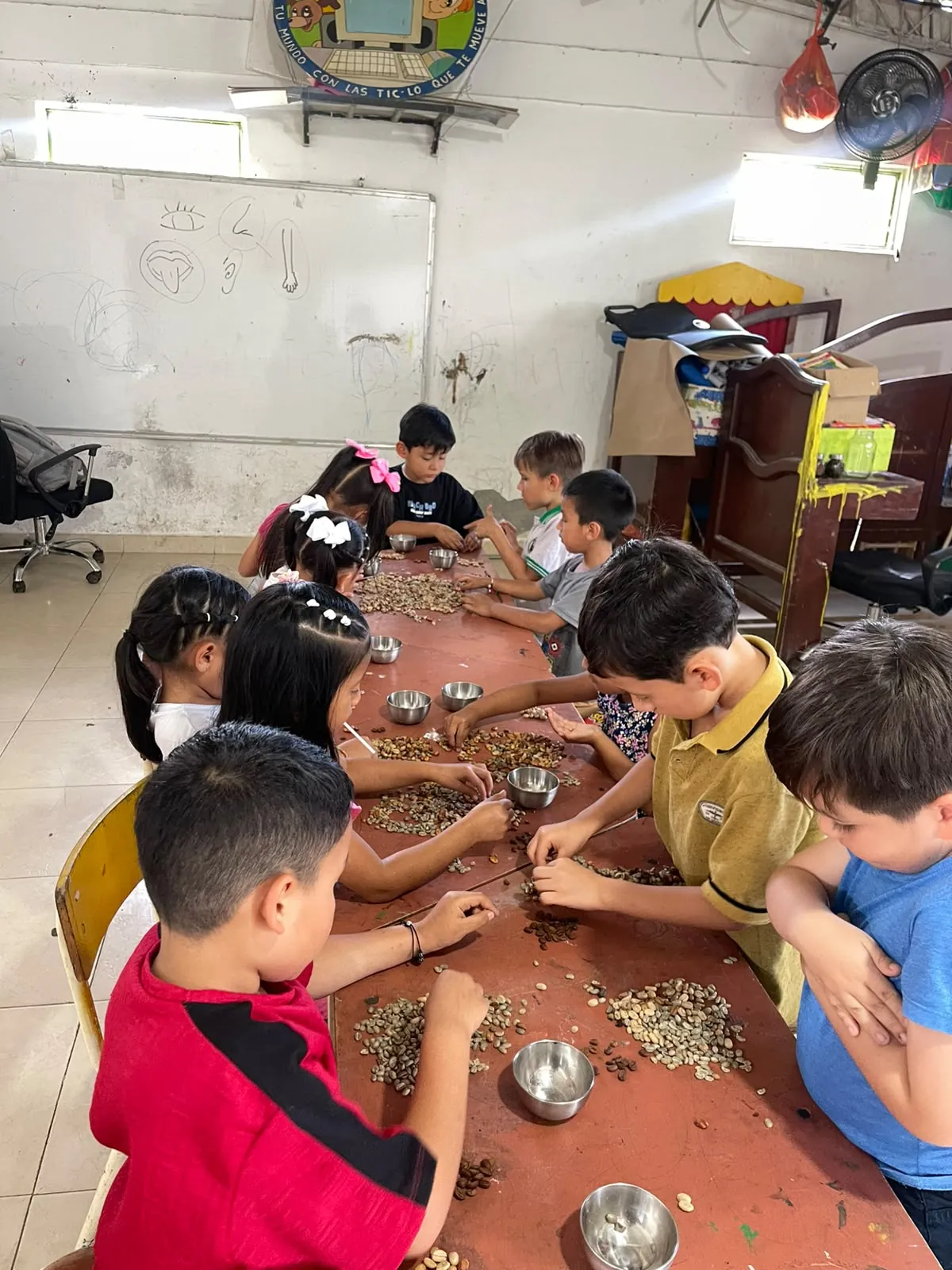 Niños aprendiendo a seleccionar granos de café en taller de catación