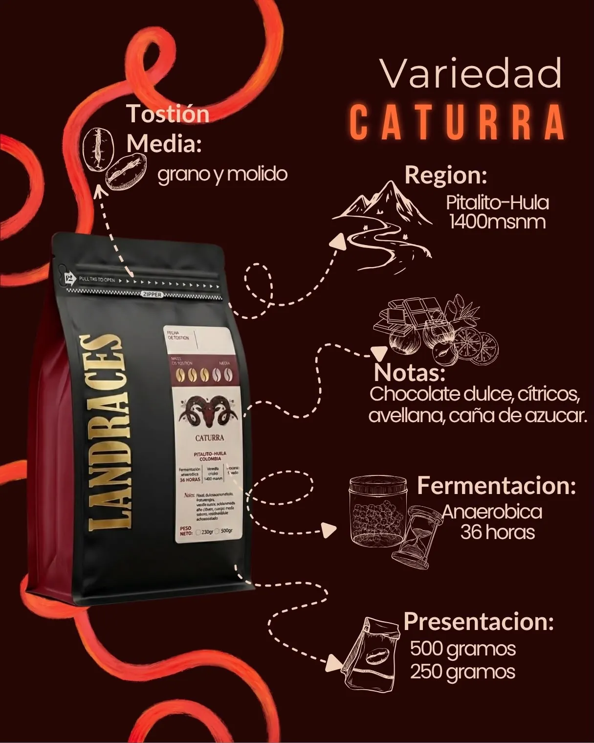 Caturra de LANDRACES